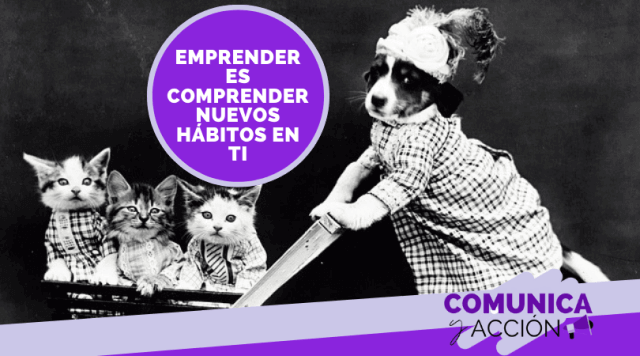 que necesita un emprendedor